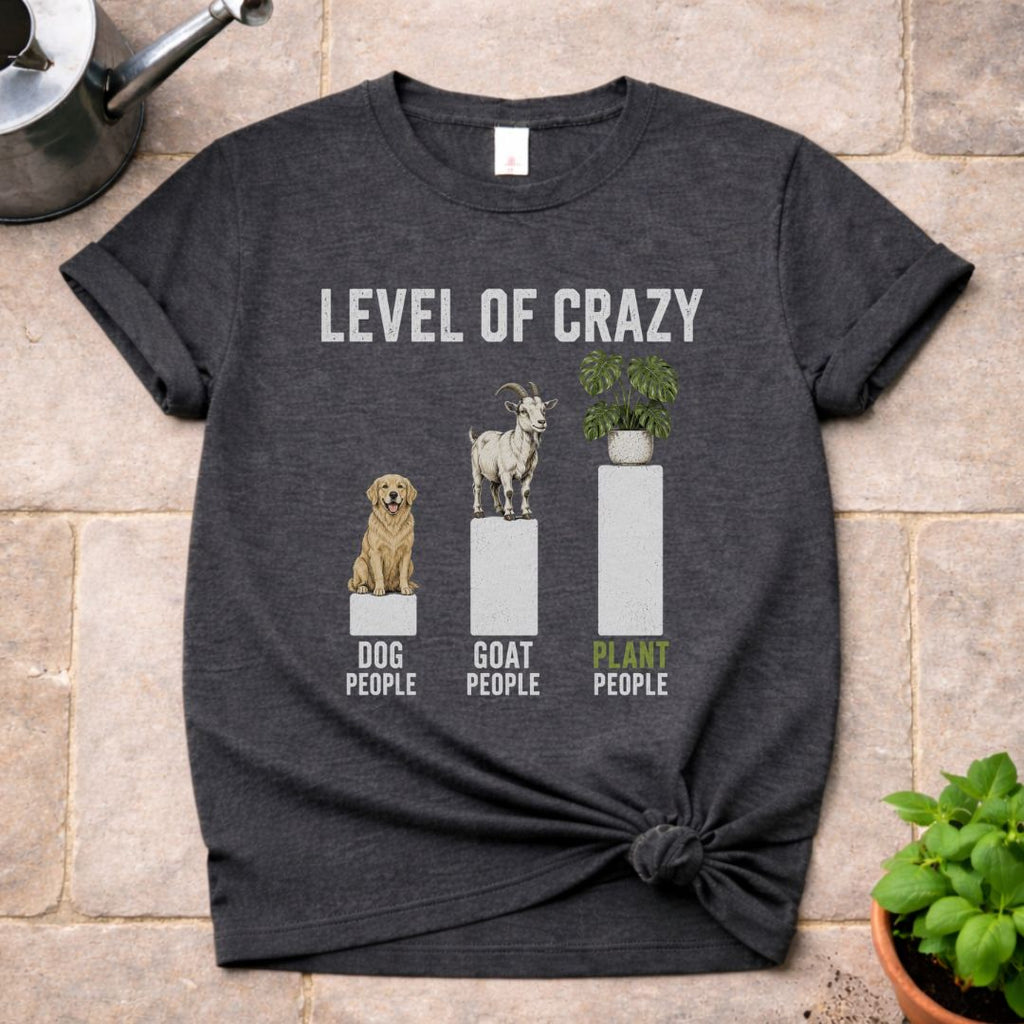 Level of Crazy T-Shirt