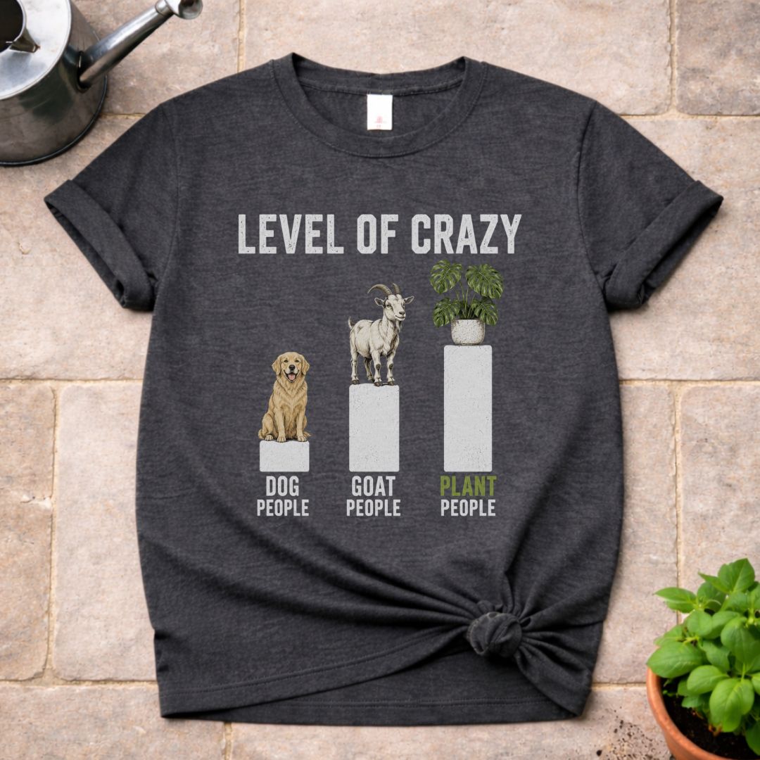 Level of Crazy T-Shirt